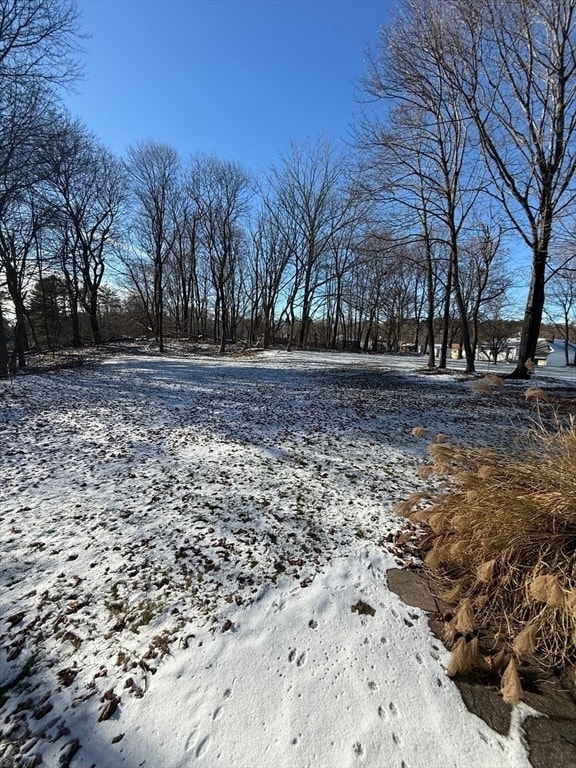 Building Photo - 6 Greenville St