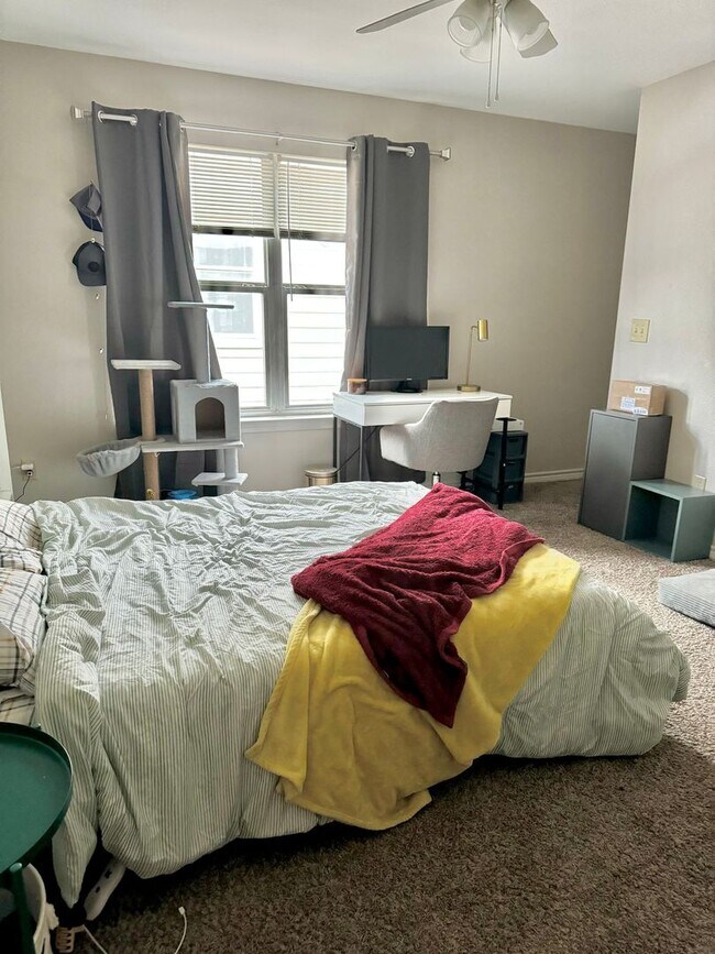 Building Photo - 2511 Pascal Ct