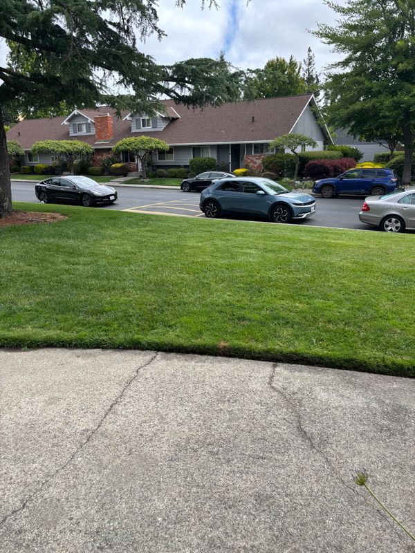 Building Photo - 74 Miramonte Dr