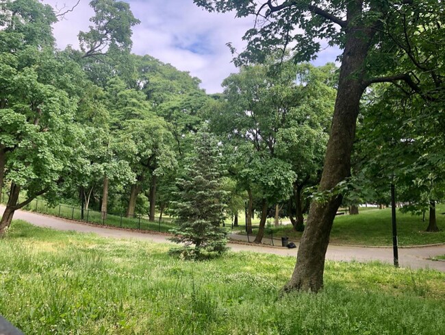 Building Photo - 1265 Eastern Pkwy