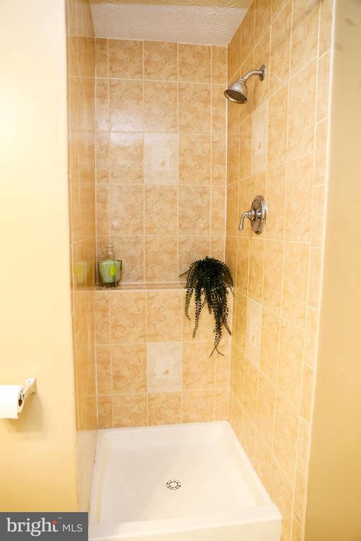 Building Photo - 3006 Summershade Ct