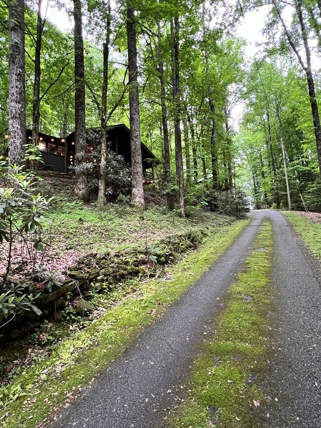 Building Photo - 59 Elm Dr