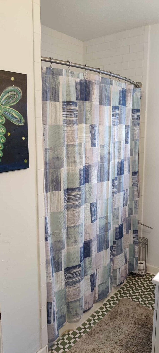 Bathroom Tub and Shower - 1423 Bronough N St