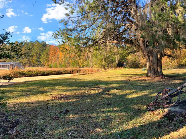 Building Photo - 3551 McCorkle Dr