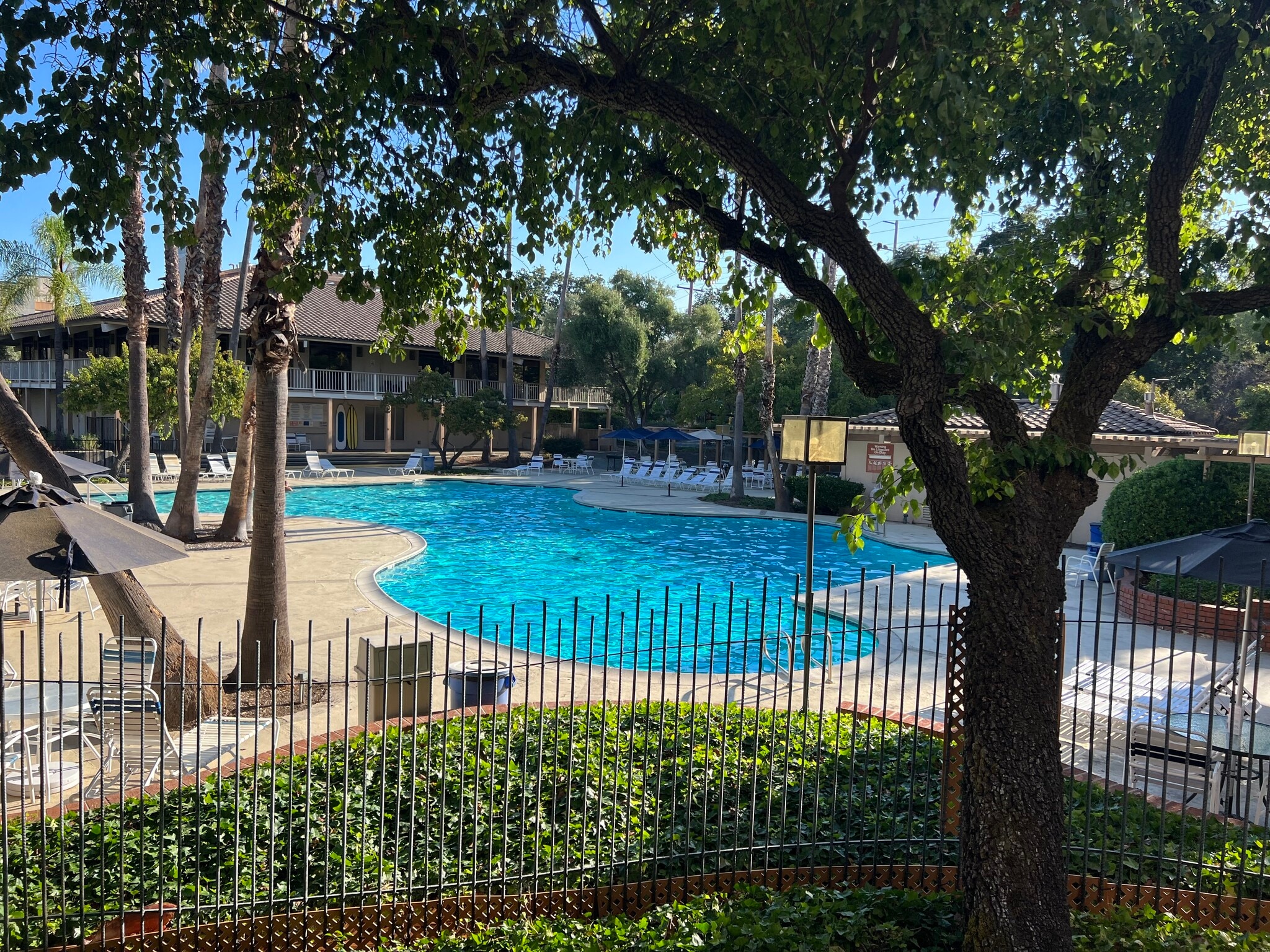 Main pool - 310 N Civic Dr