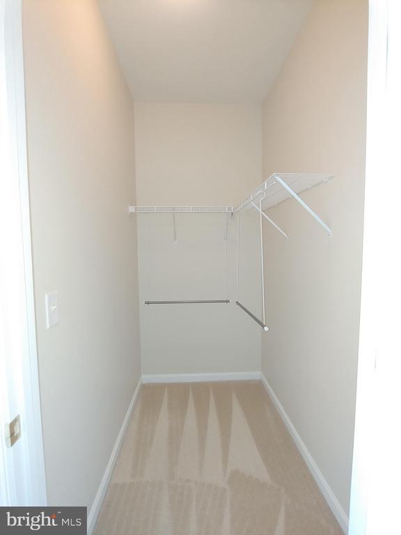 Building Photo - 2610 Chapel Lake Dr