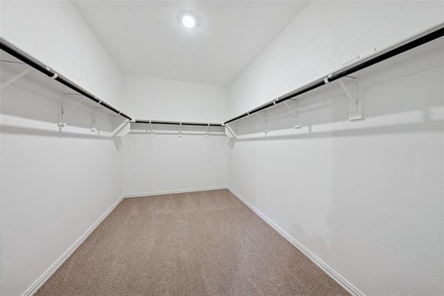 Building Photo - 2221 Horseshoe Ln