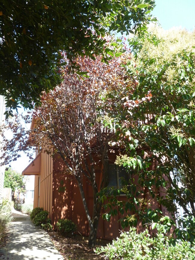 Building Photo - Bernal Heights 2Br House with Skylights, V...