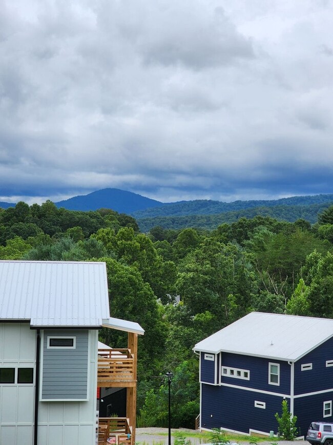 Building Photo - Swannanoa Rental