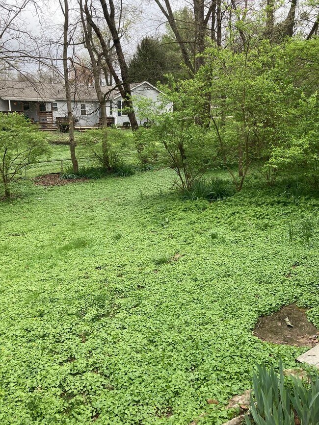 Building Photo - 3 bedroom, 1 bath House: Available August ...