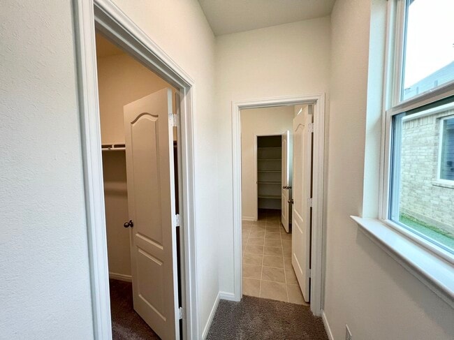 Building Photo - 2834 Palamas Ln