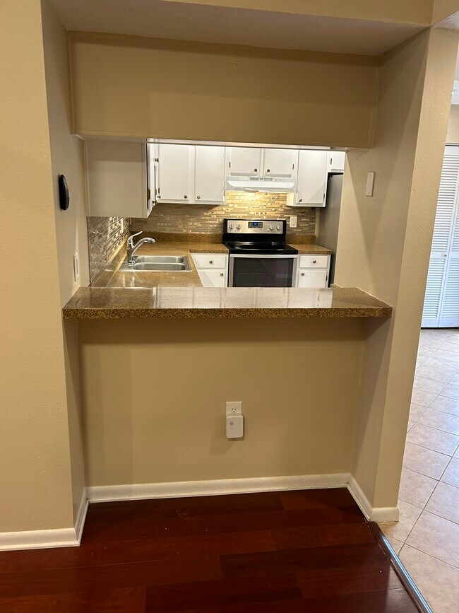 Counter off Kitchen - 1687 Brookhouse Cir