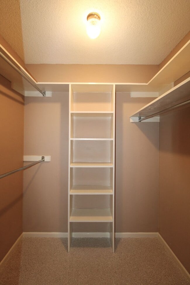 Building Photo - 10323 Quail Meadow St