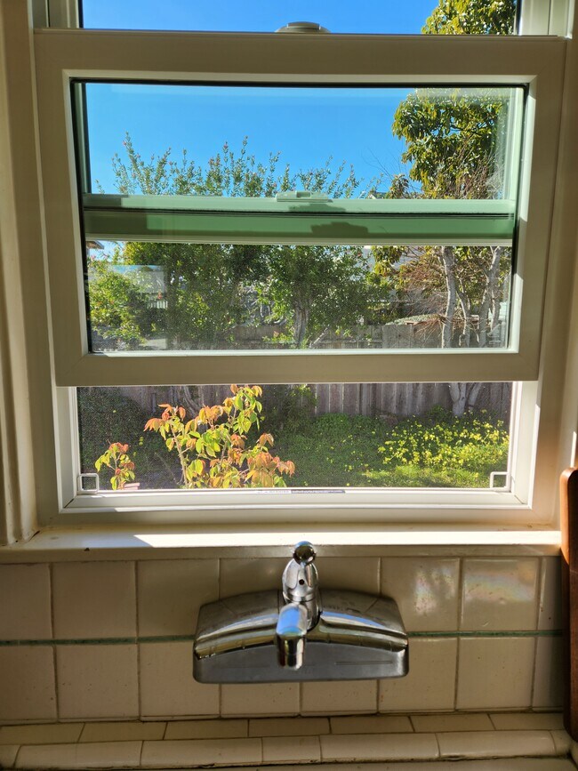 Building Photo - 243 Darwin St