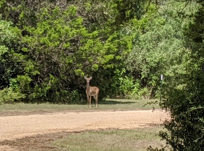 Stagecoach Park - 1 mi. from house - 584 Rockhurst St