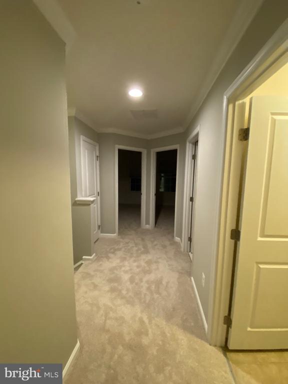 Building Photo - 129 Hornbeam Dr