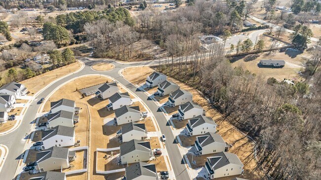 Building Photo - Beautiful 2-Story 4 Bedroom, 3 Bath Home in Angier — Just 30 Minutes from Downtown Raleigh