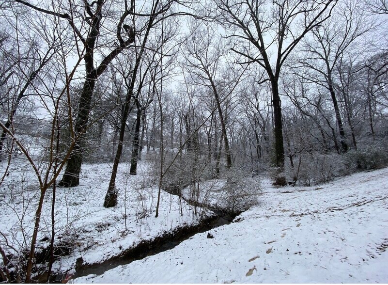 Building Photo - 113 McCall St