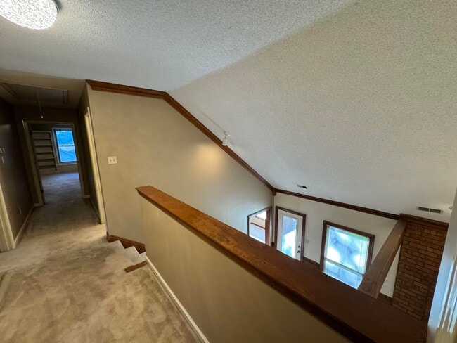 Building Photo - 2025 Mt Badon Ln
