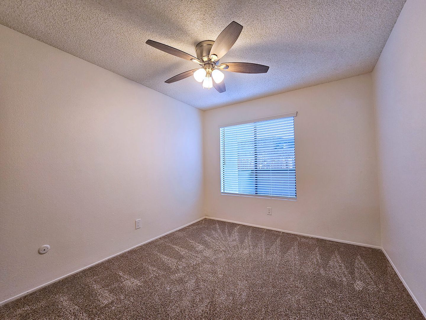 Interior Photo - The Vine Apts