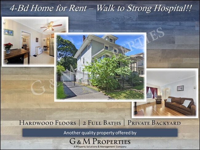 Primary Photo - 4-Bedroom Rental - Walk to Strong Hospital!