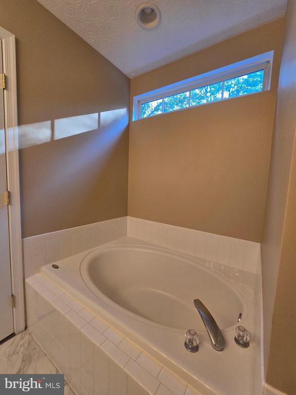 Building Photo - 160 Leeds Creek Cir