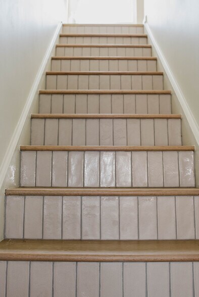 Carriage house steps - 951 Tecumseh St