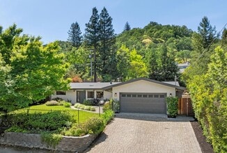 Building Photo - Luxury Single-Level Westside Alamo Home with Saltwater Pool, Spa & Outdoor Kitchen