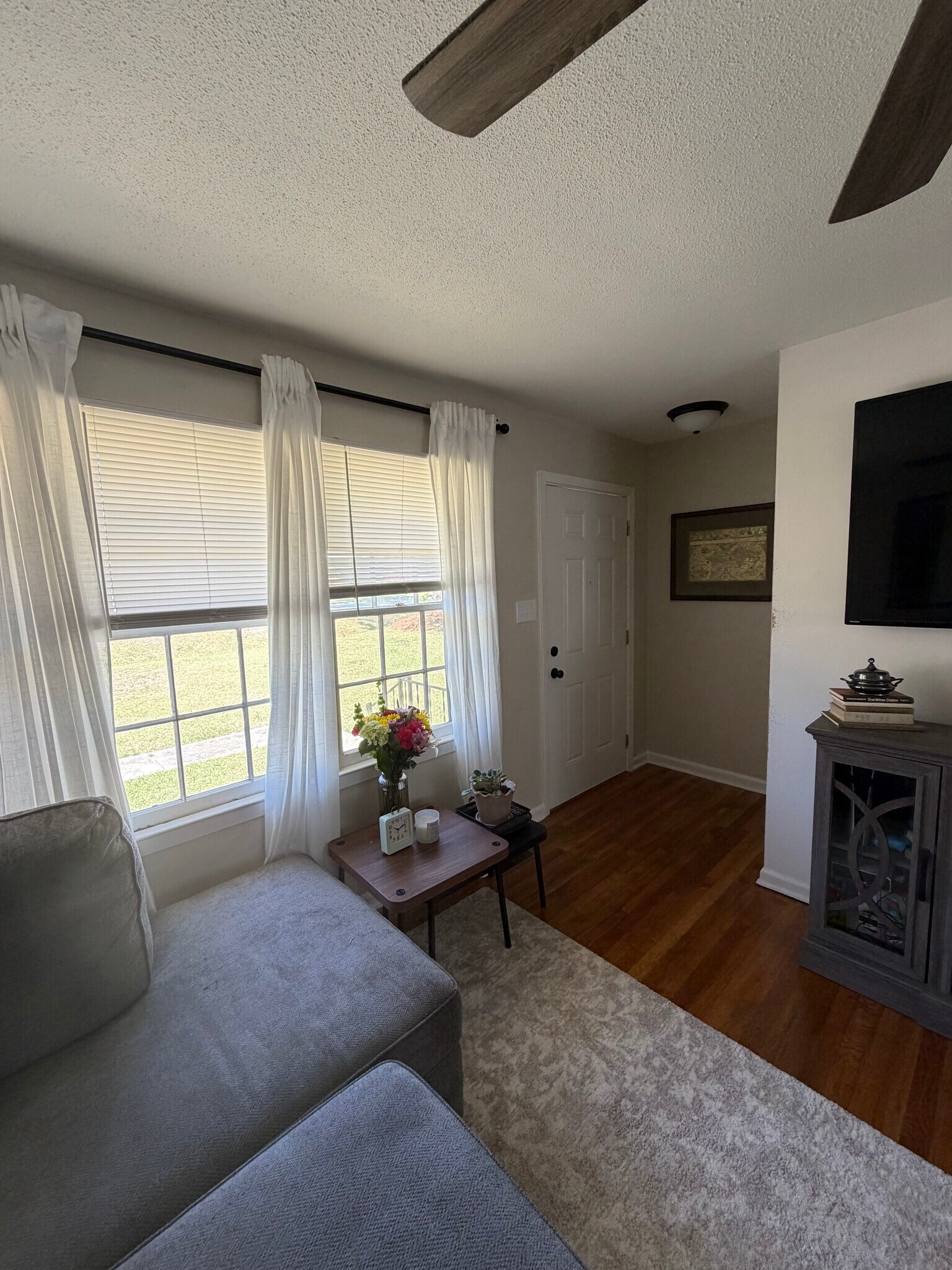 Living room - 117 Donna Dr