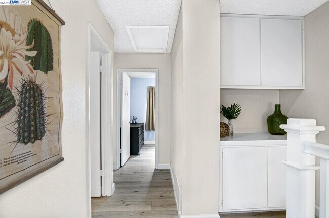 Building Photo - 1337 Spring Valley Common
