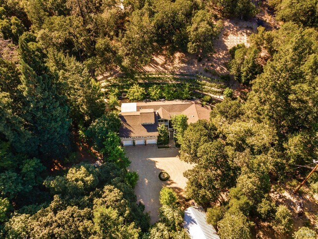 Building Photo - 1450 Diamond Mountain Rd