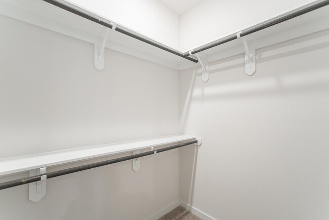 Building Photo - 7397 Mount Greylock Lp