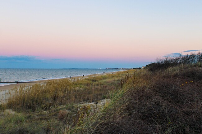 Building Photo - Experience the beauty of the Chesapeake Ba...