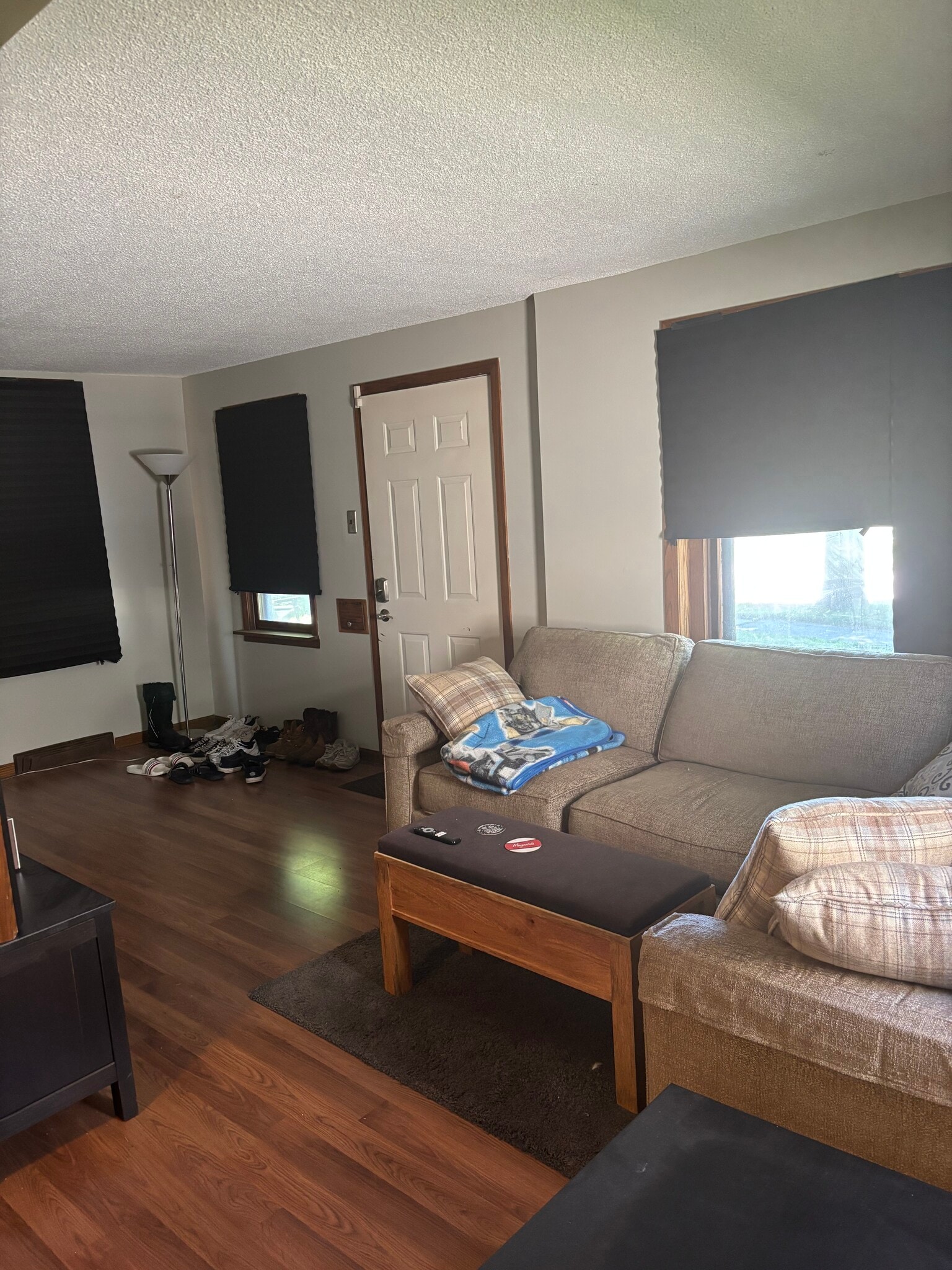 Living room - 3234 Xerxes Ave N