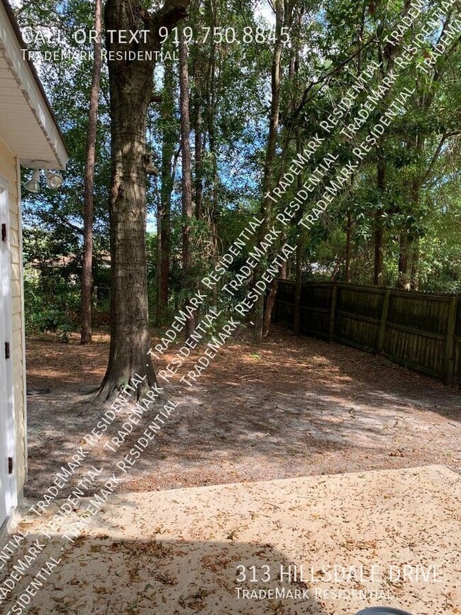Building Photo - 313 Hillsdale Dr
