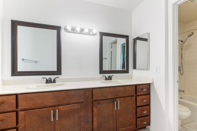 Building Photo - 2625 Pirineos Way