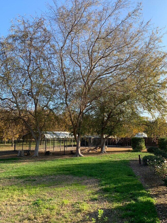 Building Photo - 4 Bedroom 3 Bath Home