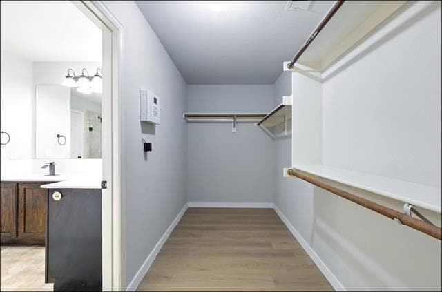 Building Photo - 5004 Springflower Dr
