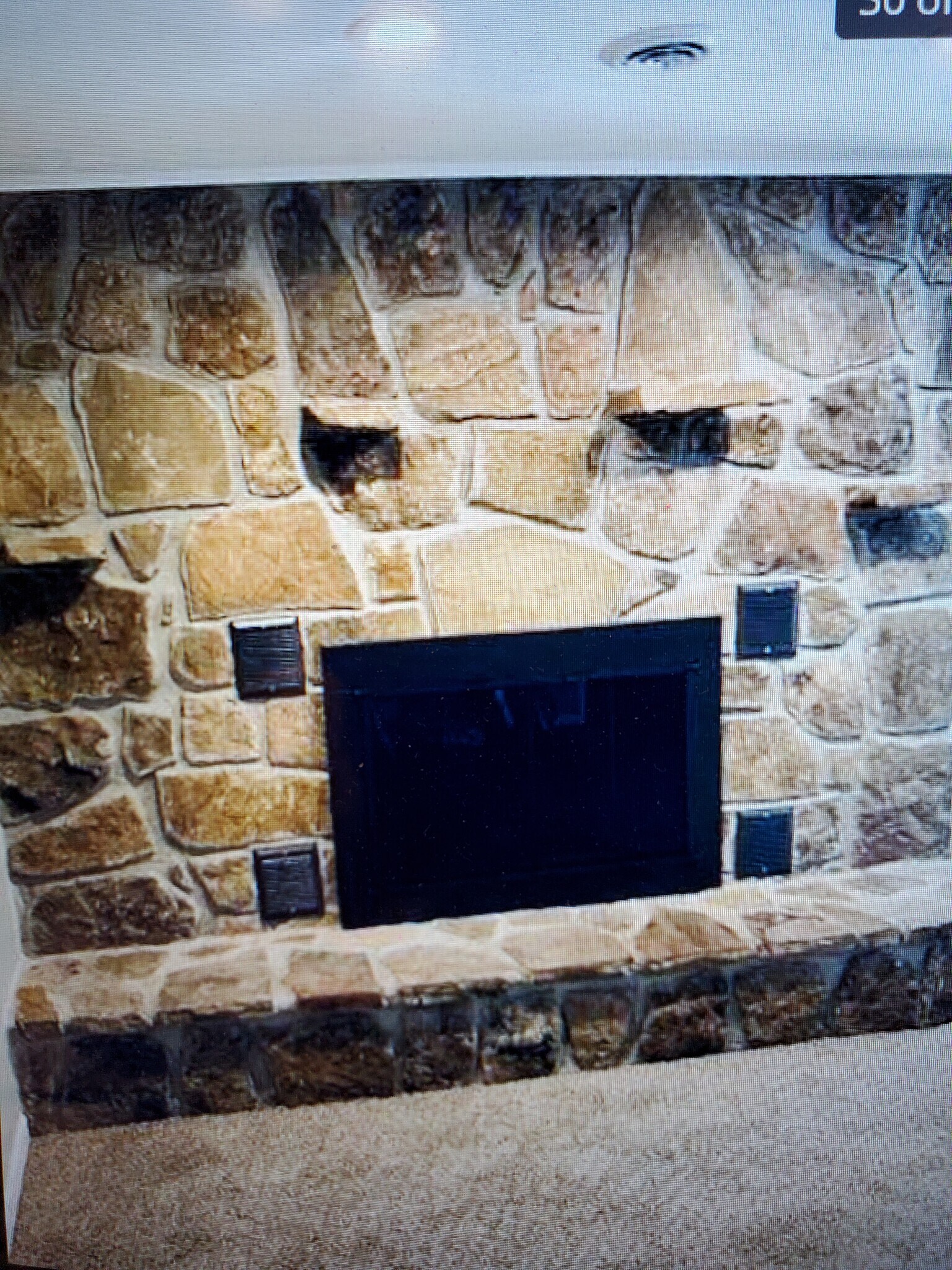 Building Photo - 1101 Burning Tree Ln