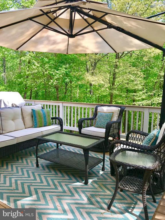 Building Photo - 8 Plumosa Dr