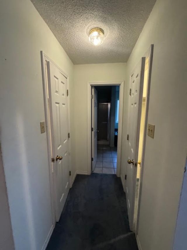 Building Photo - 2300 Starfish Rd