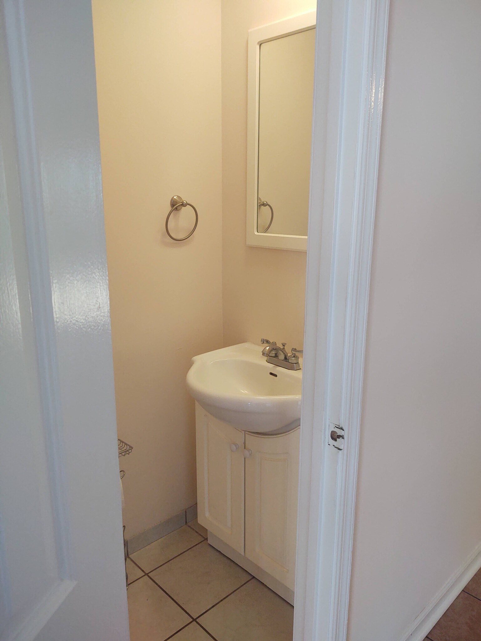 Powder room on 1st floor - 251 Knight Dr