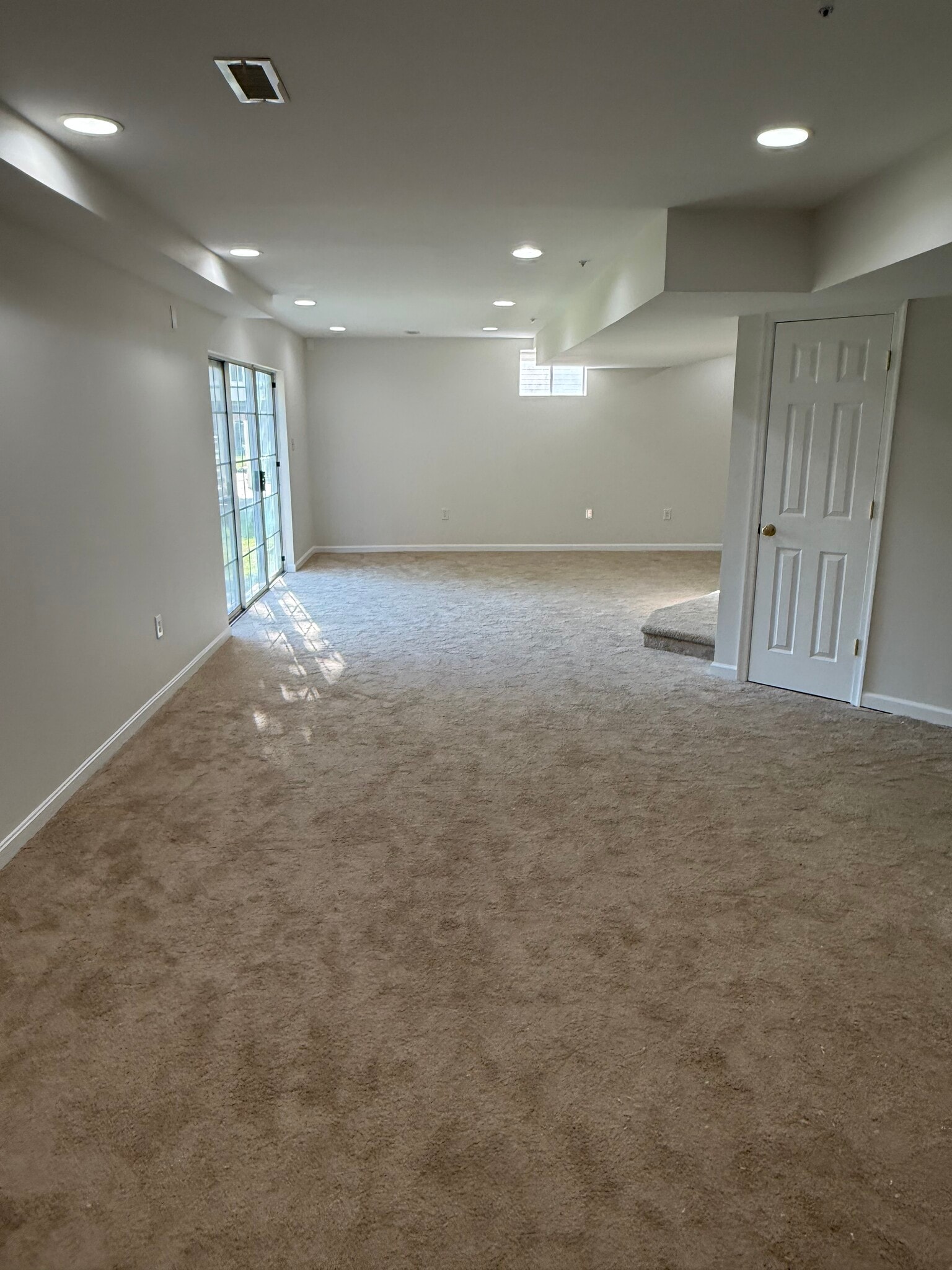 Finished Basement - 911 Lake Front Dr