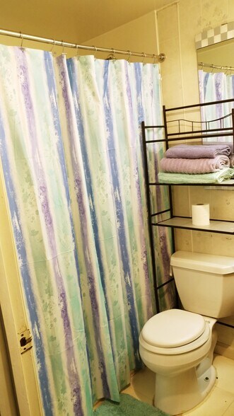 APT D bathroom - 82 E Main St