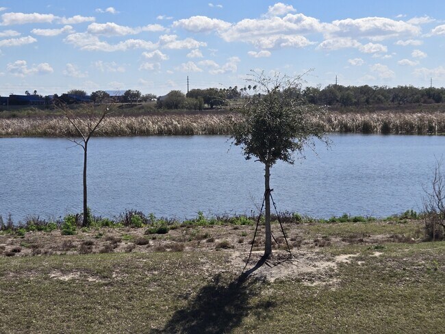 Building Photo - 2553 Mariah Pl