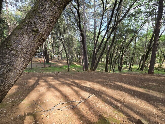 Building Photo - Spacious 4-Bedroom Home on Desirable Hillcrest Blvd in Colfax