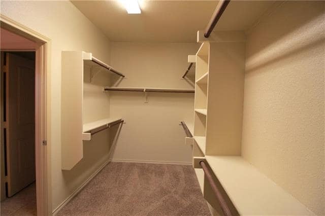 Building Photo - 13104 Palancar Dr