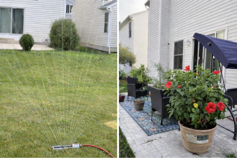 Building Photo - 8806 Emerald Hill Dr