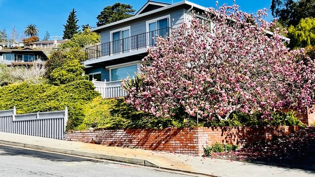 Building Photo - 520 Escalona Dr
