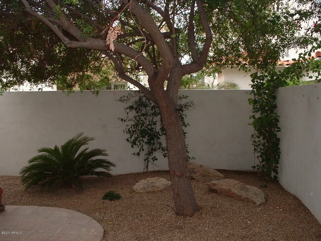 Building Photo - 7528 E McLellan Ln